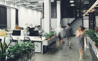 Law Offices Cleaning and Janitorial Services Greater Puget Sound