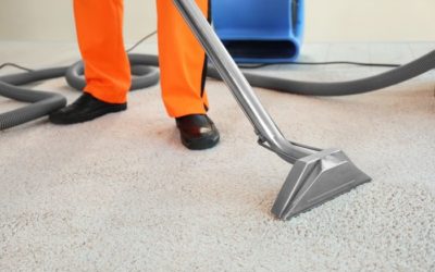 Is It Time to Hire A Commercial Carpet Cleaning Service for Your Office?