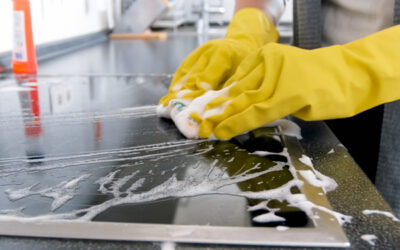 Getting Serious About Kitchen Cleanliness: Step-by-Step Guide