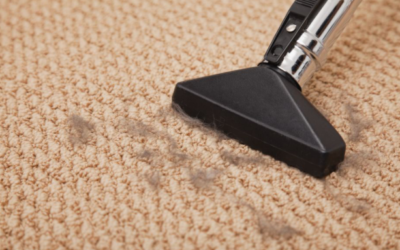 Why Properly Vacuuming Your Office Carpet is Key