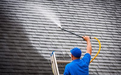 Expert Roof and Gutter Cleaning: Enhance and Protect Your Property
