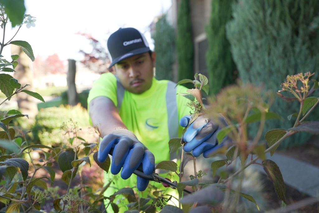 Property Management Cleaning Services